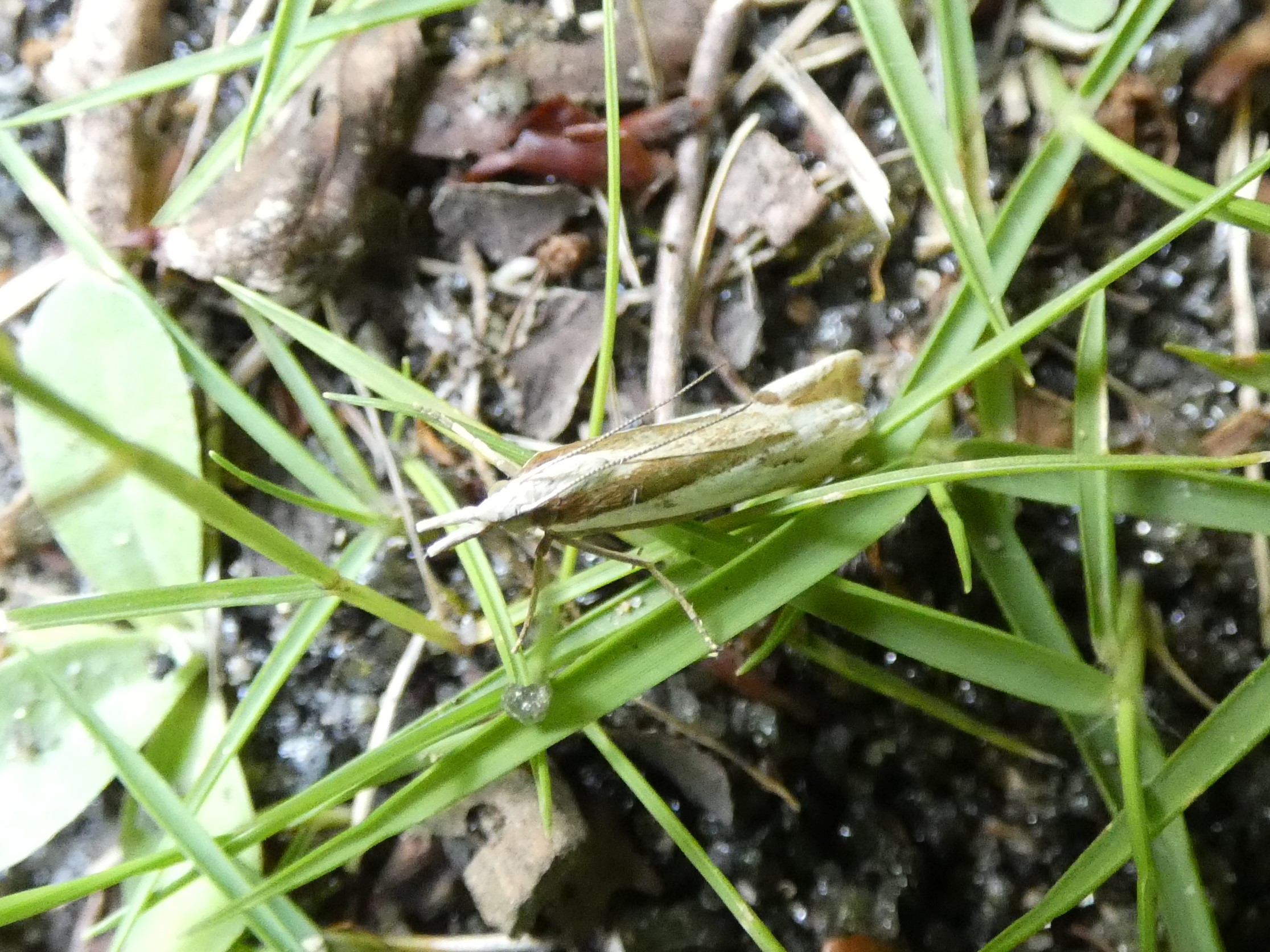 photo_1